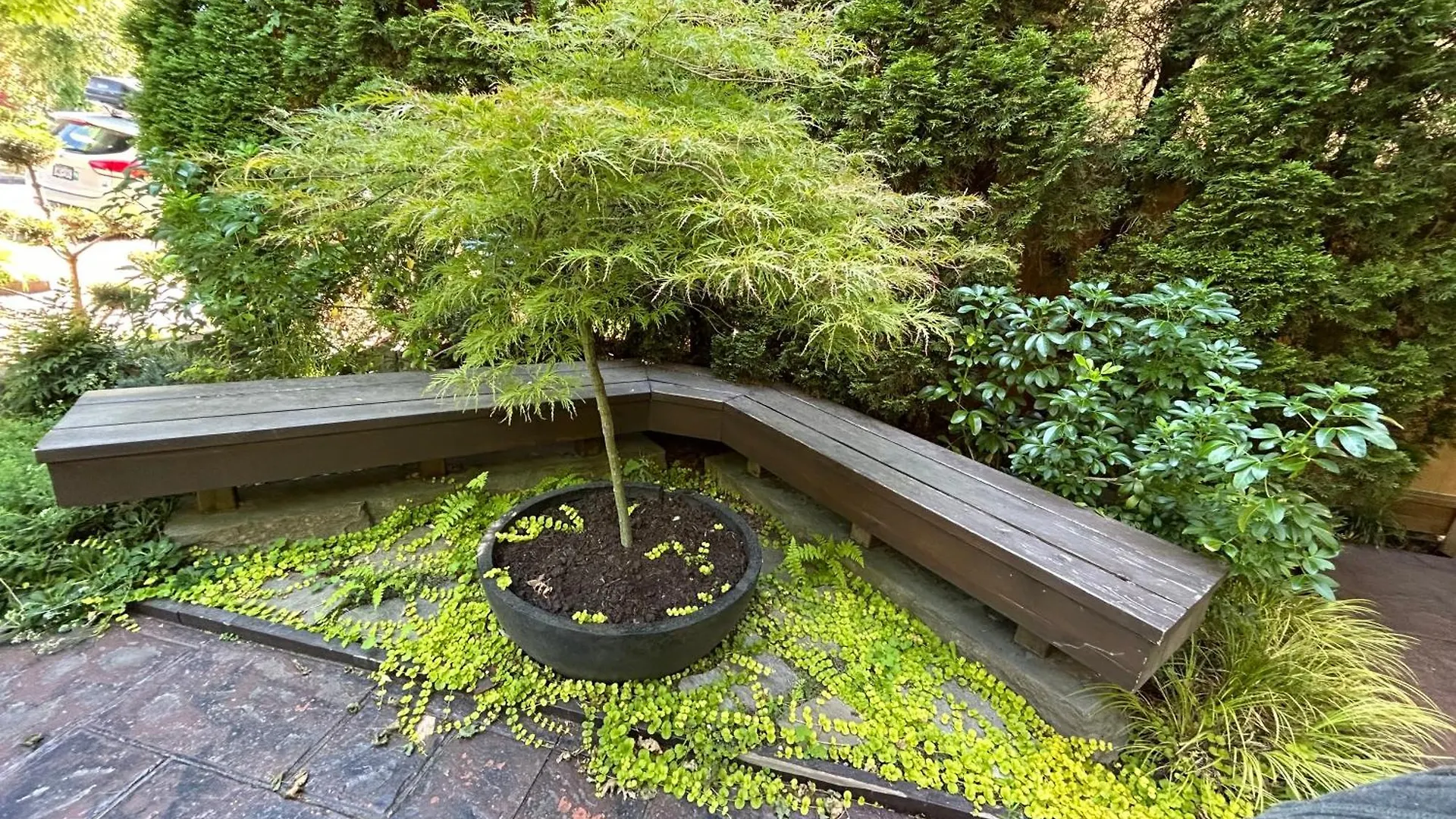 Garden Oasis Suite Near Popular Main Street Vancouver Canada
